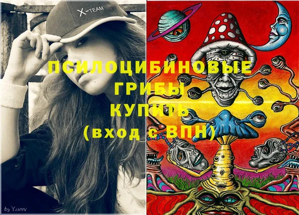 молекула духа Балахна