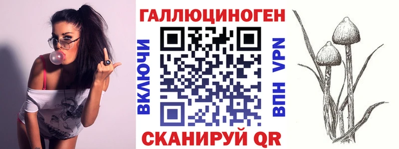 Псилоцибиновые грибы MAGIC MUSHROOMS Вилючинск